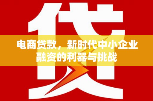 庆城电商贷款，新时代中小企业融资的利器与挑战