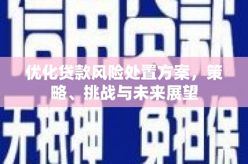 庆城优化贷款风险处置方案，策略、挑战与未来展望