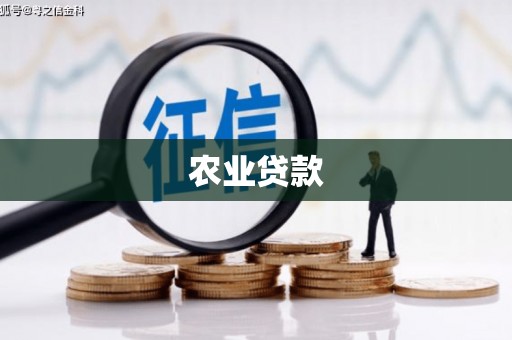 庆城农业贷款