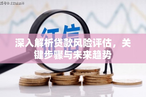 庆城深入解析贷款风险评估，关键步骤与未来趋势