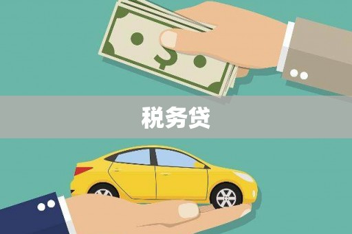 庆城税务贷