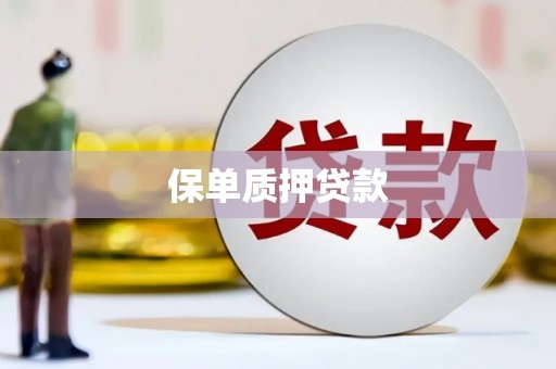 庆城保单质押贷款