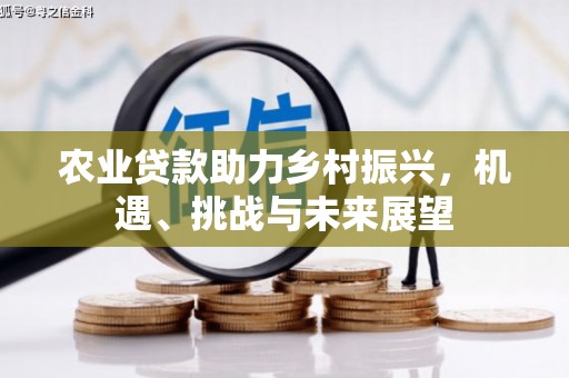 庆城农业贷款助力乡村振兴，机遇、挑战与未来展望
