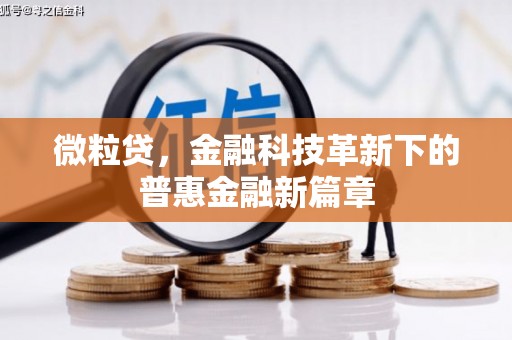 庆城微粒贷，金融科技革新下的普惠金融新篇章