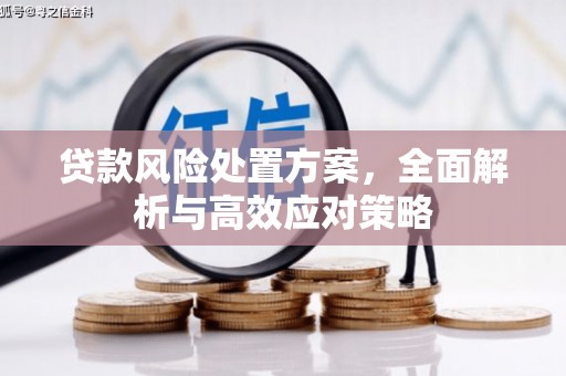 庆城贷款风险处置方案，全面解析与高效应对策略