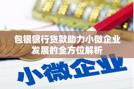 庆城包银银行贷款助力小微企业发展的全方位解析