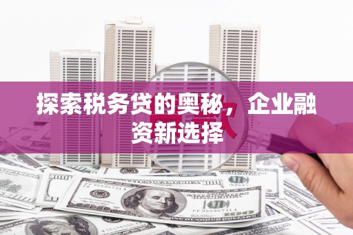 庆城探索税务贷的奥秘，企业融资新选择