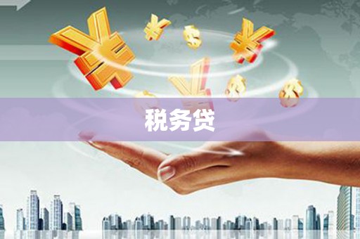 庆城税务贷