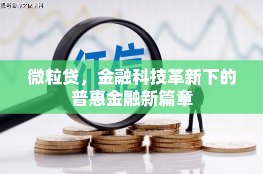 庆城微粒贷，金融科技革新下的普惠金融新篇章