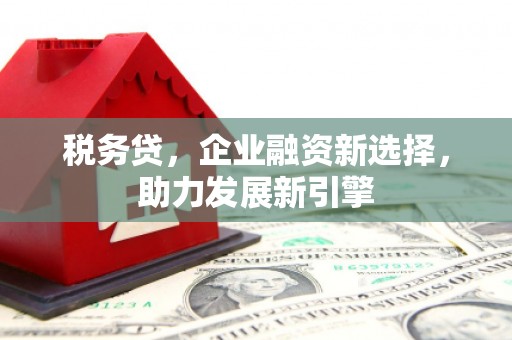 庆城税务贷，企业融资新选择，助力发展新引擎