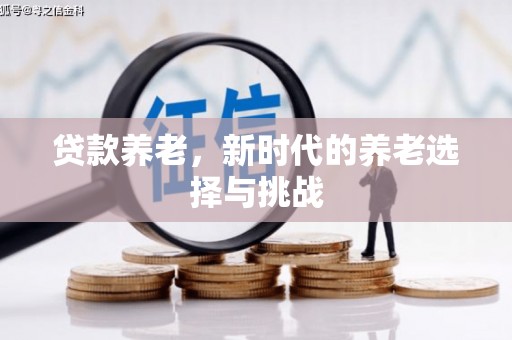 庆城贷款养老，新时代的养老选择与挑战