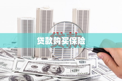 庆城贷款购买保险