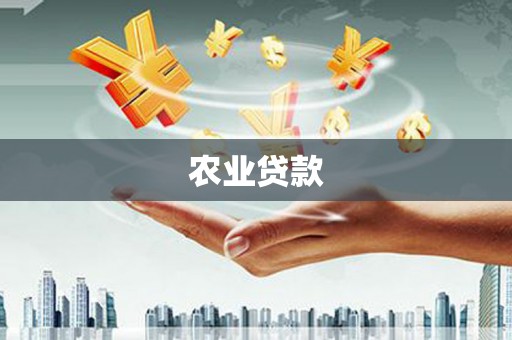庆城农业贷款