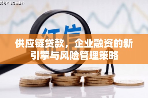 庆城供应链贷款，企业融资的新引擎与风险管理策略