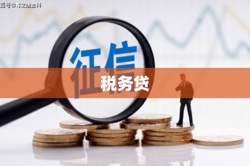 庆城税务贷