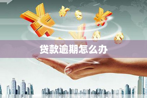庆城贷款逾期怎么办