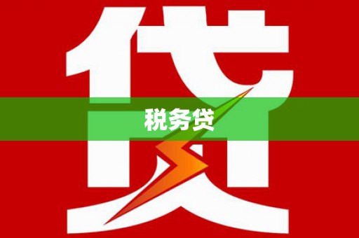 庆城税务贷