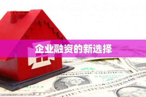 庆城企业融资的新选择