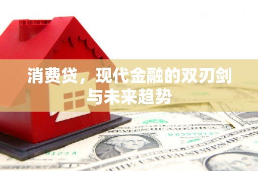 庆城消费贷，现代金融的双刃剑与未来趋势