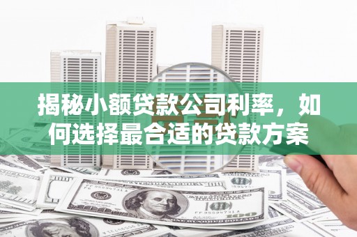 庆城揭秘小额贷款公司利率，如何选择最合适的贷款方案