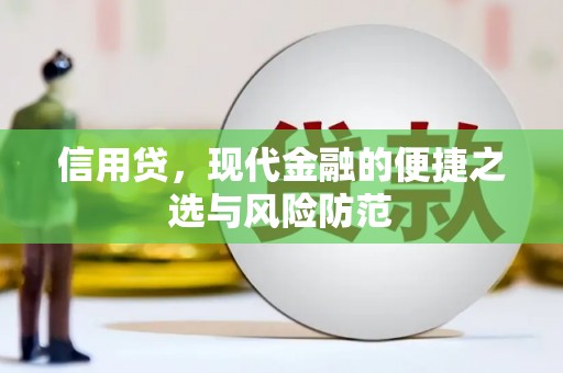庆城信用贷，现代金融的便捷之选与风险防范