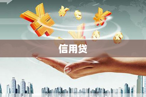 庆城信用贷