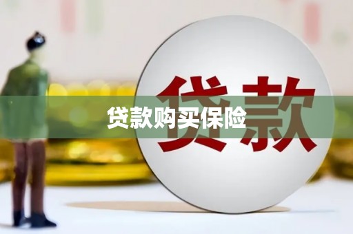 庆城贷款购买保险