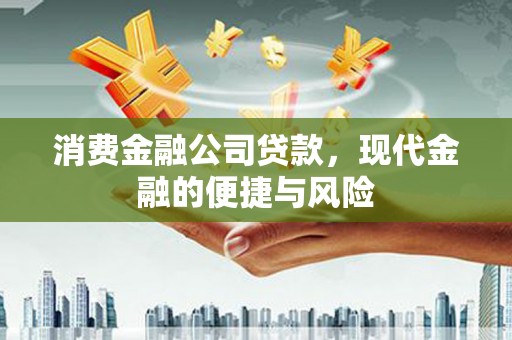 庆城消费金融公司贷款，现代金融的便捷与风险