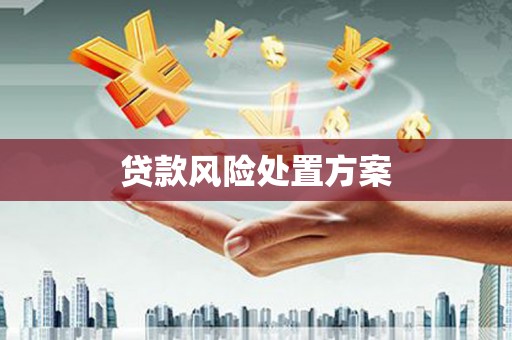 庆城贷款风险处置方案