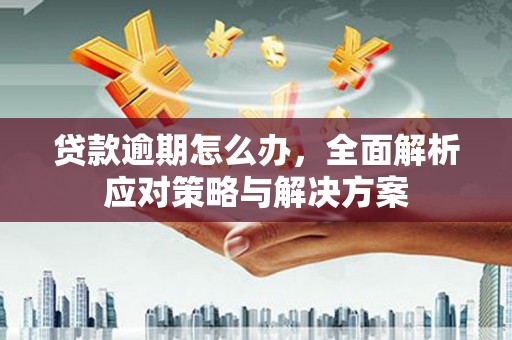 庆城贷款逾期怎么办，全面解析应对策略与解决方案