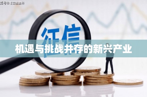 庆城机遇与挑战并存的新兴产业